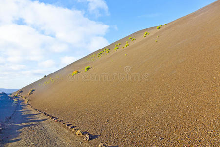 timanfaya国家公园w火山山上稀疏的植被