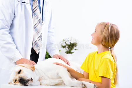女孩在兽医诊所养狗
