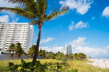 迈阿密海滩图片