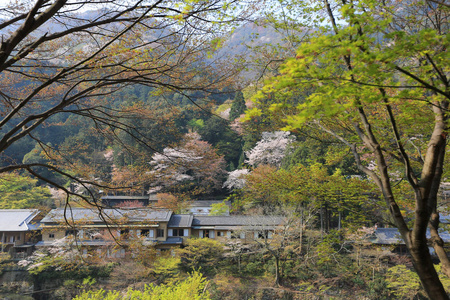 在京都岚山山前桂河