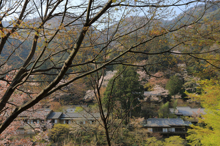 在京都岚山山前桂河