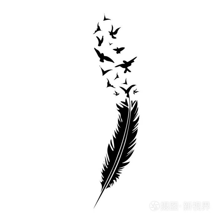 黑白羽毛上黑色背景,矢量图插画-正版商用图片0xyq7a-摄图新视界