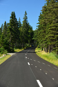 沿着缅因州海岸蜿蜒的道路