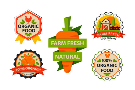 平面样式的生物有机生态健康食品标签标识模板和老式素食主义者农场元素在绿色橙色徽章矢量图