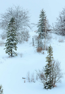冬季喀尔巴阡山区景观