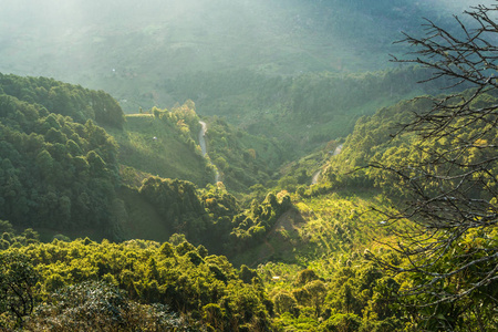 峰景观绿草