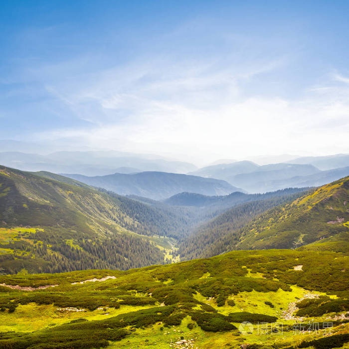 美丽的夏天绿色山山谷场景