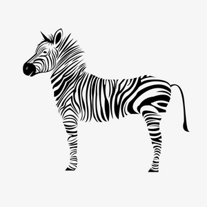 动物斑马矢量的插图野生哺乳动物白色黑色动物园条纹