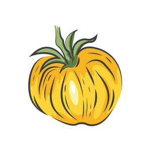 黄番茄绘图图标