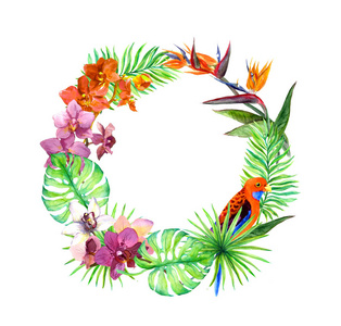 热带叶片，异国情调的鸟，兰花花。花圈的框架。水彩