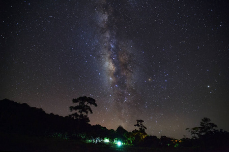 银河系和轮廓的树在富显荣科军国家公园
