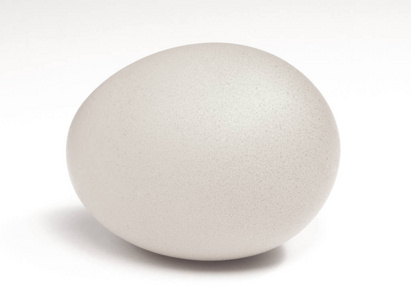 孤立在白色背景上的蛋