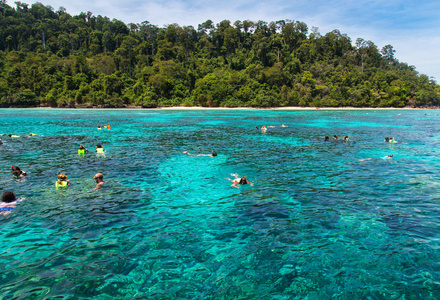 在 Koh 韩国，泰国安达曼海浮潜