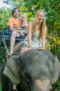 幸福的家庭，骑在大象上