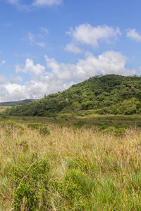 农场中的森林和小山