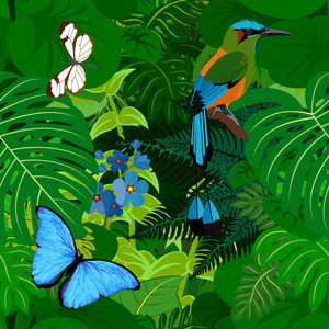 无缝矢量热带雨林丛林背景与翠鸟和蝴蝶