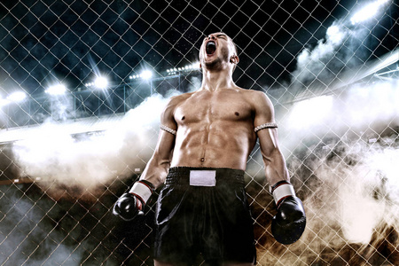 运动员泰拳泰国拳击手庆祝拳击笼子里完美的胜利。背景灯和烟雾。复制空间。体育概念