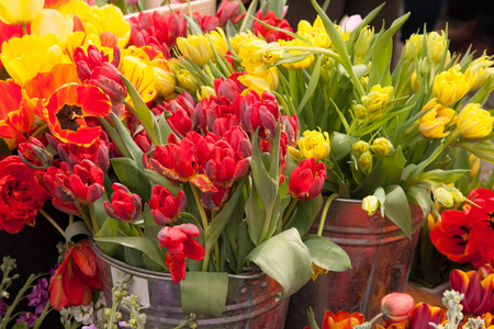 今年 4月, 郁金香等五颜六色的鲜花在农贸市场展出