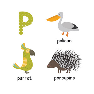 可爱的儿童动物园字母 P 信跟踪的有趣动物卡通的孩子。鹦鹉豪猪鹈鹕