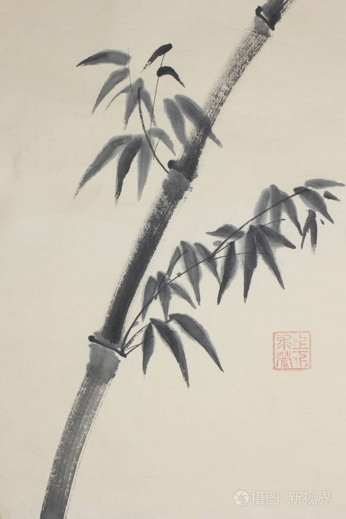 孤竹树