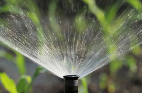 灌溉系统浇水绿色工厂