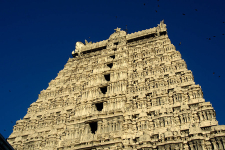 寺塔 Tiruvannamalai