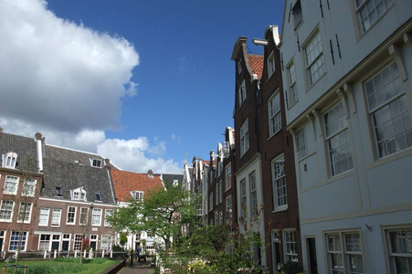 在荷兰的阿姆斯特丹