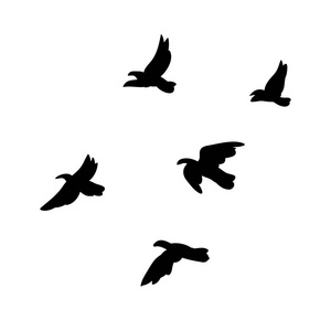 黑色飞行的鸟群概念