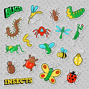 Bug 和昆虫修补程序 贴纸 徽章套版画和纺织。矢量涂鸦