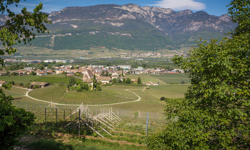 在南蒂罗尔,Egna,博尔扎诺,意大利葡萄酒路上