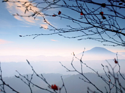 在天亮的时候, 透过树枝在深雾的山谷上欣赏风景。雾蒙蒙多雾的早晨