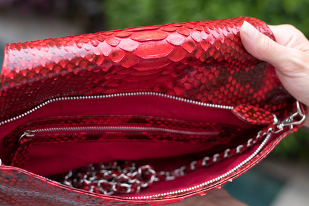 女人手里拿着豪华蛇皮 python 离合器附近的游泳池 巴厘岛