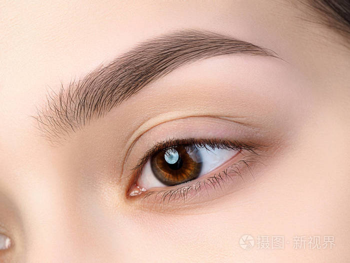 近距离观看美丽的棕色女性眼睛. 完美的时髦眉毛.