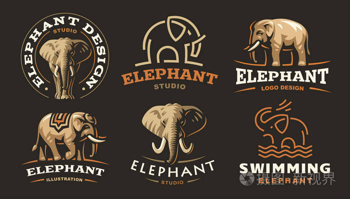 集的大象标志-矢量插图,在深色背景上的国徽