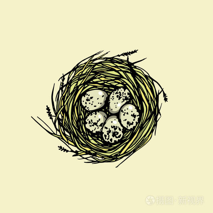 手画的鸟巢