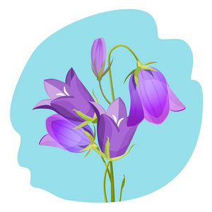 孤立的中提琴紫罗兰开花植物现实矢量图