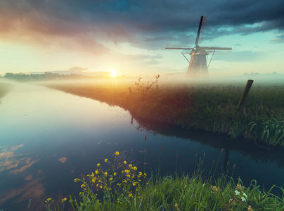 一个典型的风车和郁金香，荷兰农村传统荷兰荷兰荷兰风光