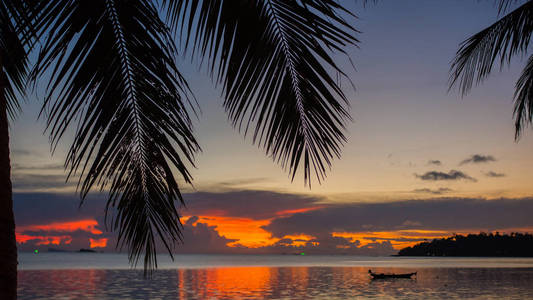 太阳射线穿过棕榈枝。在海岸的热带树木。日落的时候