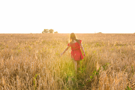 年轻女子走在麦田与背景上的太阳