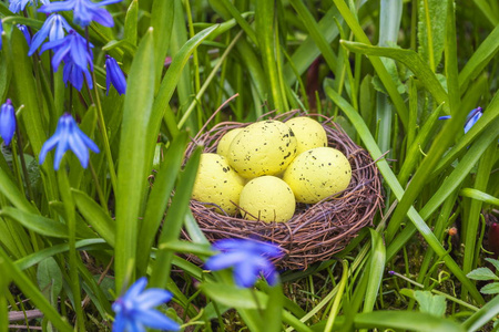 复活节彩蛋在附近花黄色