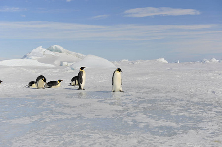 美丽的景色的冰山雪山南极洲图片