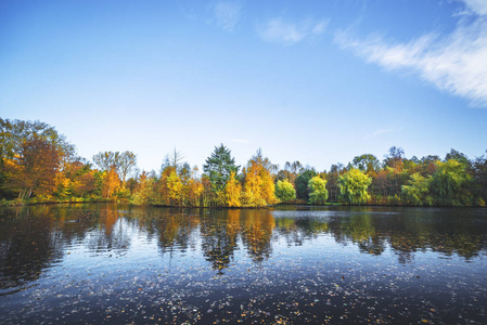 秋季景观湖与树