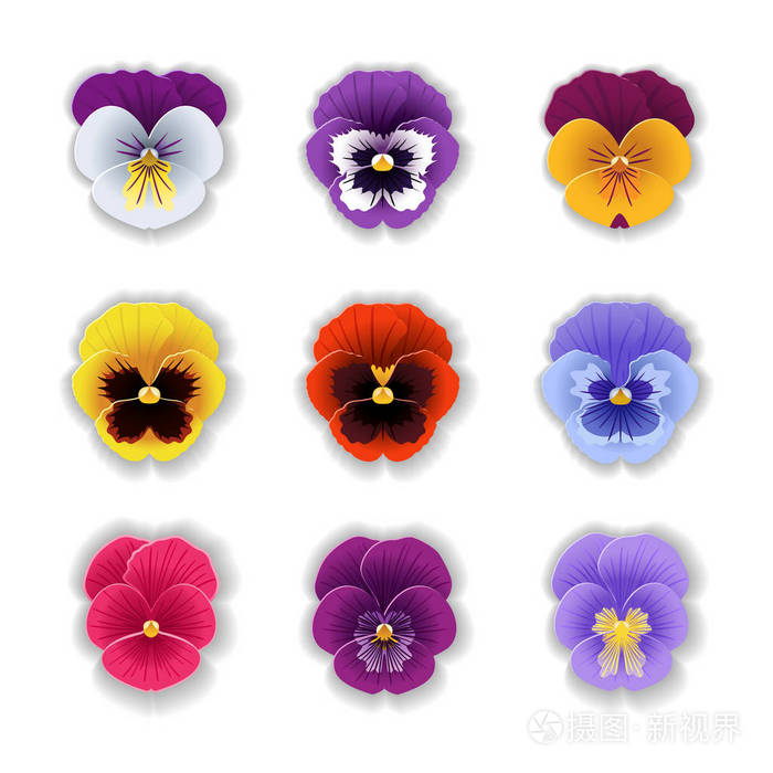 纸艺术三色堇集插画-正版商用图片0ydgj1-摄图新视界