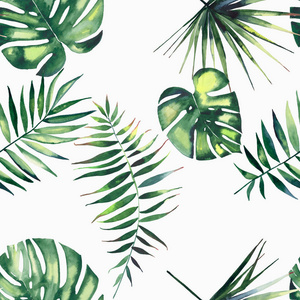明亮美丽绿色草药热带奇妙夏威夷花夏天的图案的热带棕榈树水彩手图
