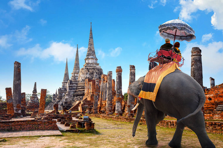 与大象在教科文组织世界遗产，泰国大城府历史公园的 Wat Phra Si Sanphet 寺旅游