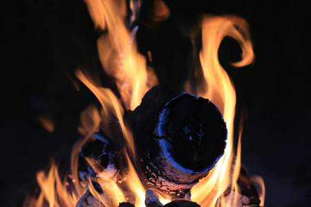 在黑暗中燃烧木材