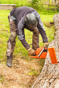 樵夫削减链锯。专业伐木工人切割在花园里一棵大树