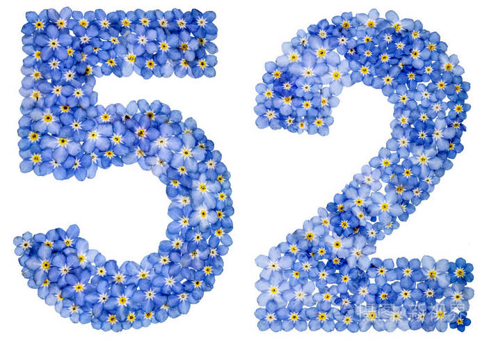 阿拉伯数字52五十两从蓝色勿忘我花