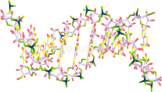 DNA螺旋分子