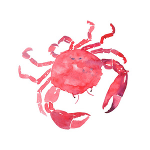 多彩的明亮的漂亮的可爱的夏天海可口美味的红蟹水彩手图。完美的餐厅，菜单 问候卡和纺织